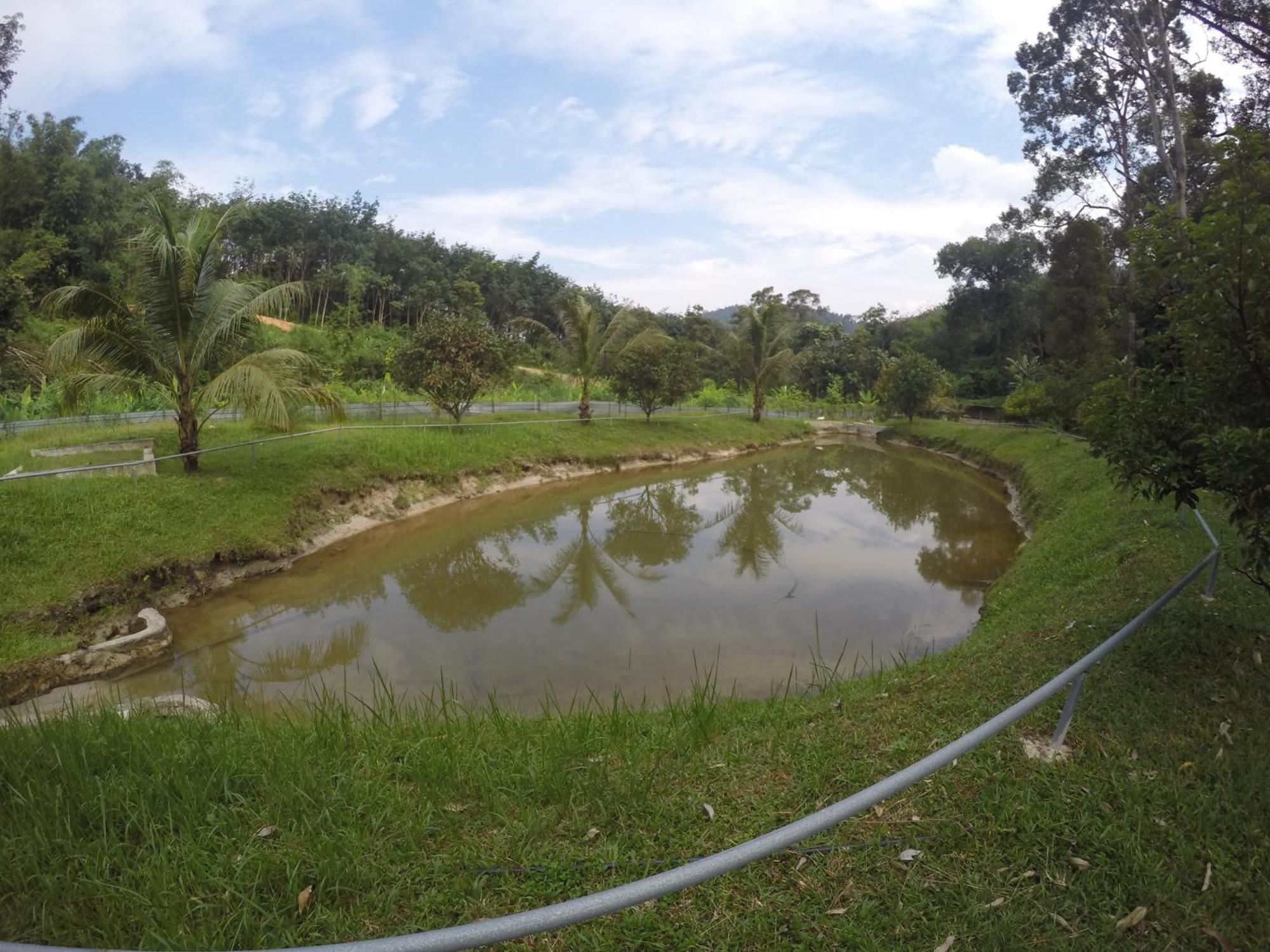 Santai De Lui Resorts Kampong Masjid  エクステリア 写真